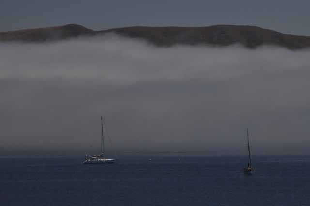 Bodega Bay fog